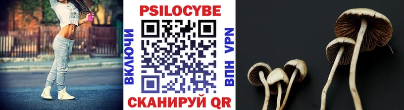 Псилоцибиновые грибы мухоморы  Верхняя Салда 