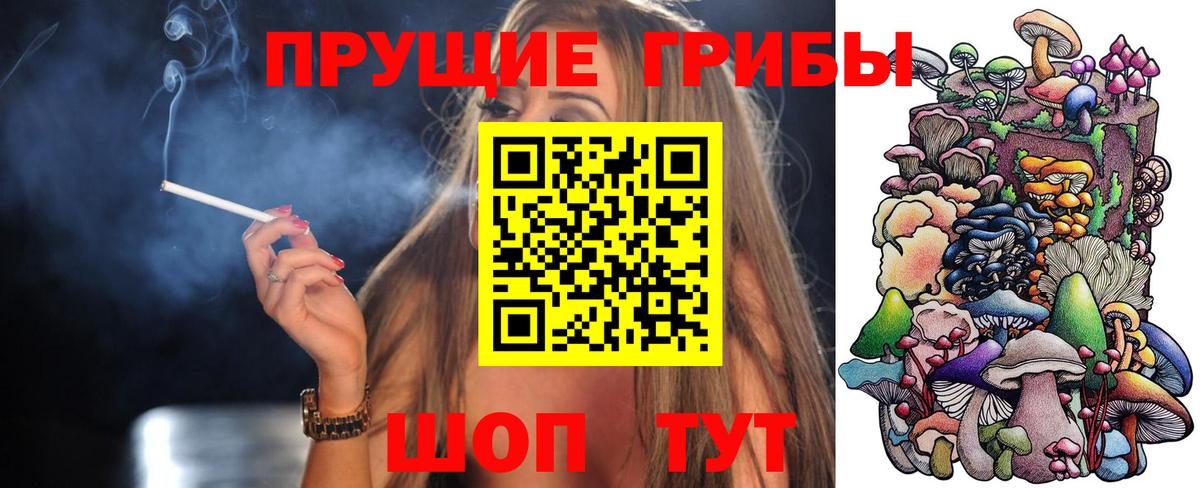 Верхняя Салда  Псилоцибиновые грибы GOLDEN TEACHER  Вход с VPN 
