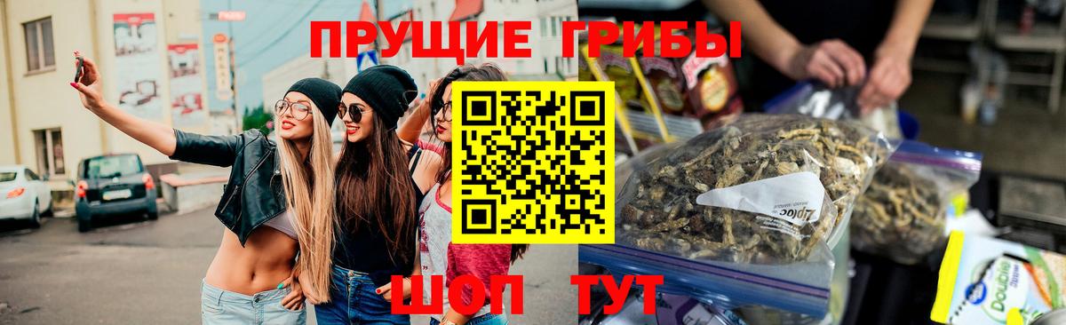 Галлюциногенные грибы Magic Shrooms  Галлюциногенные грибы Magic Shrooms  где найти   Верхняя Салда 