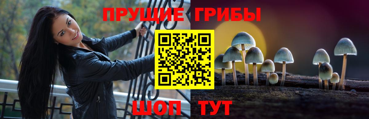 Псилоцибиновые грибы мицелий Верхняя Салда